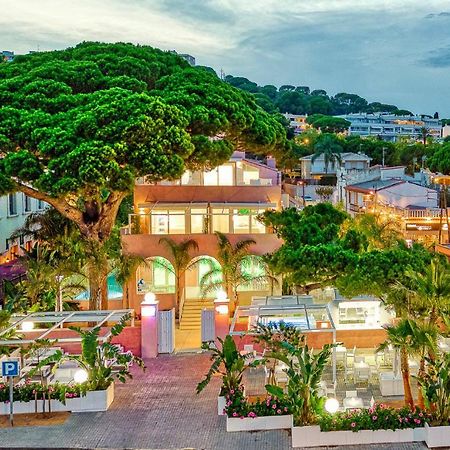 The Pink Elephant Hotel ساغارو المظهر الخارجي الصورة